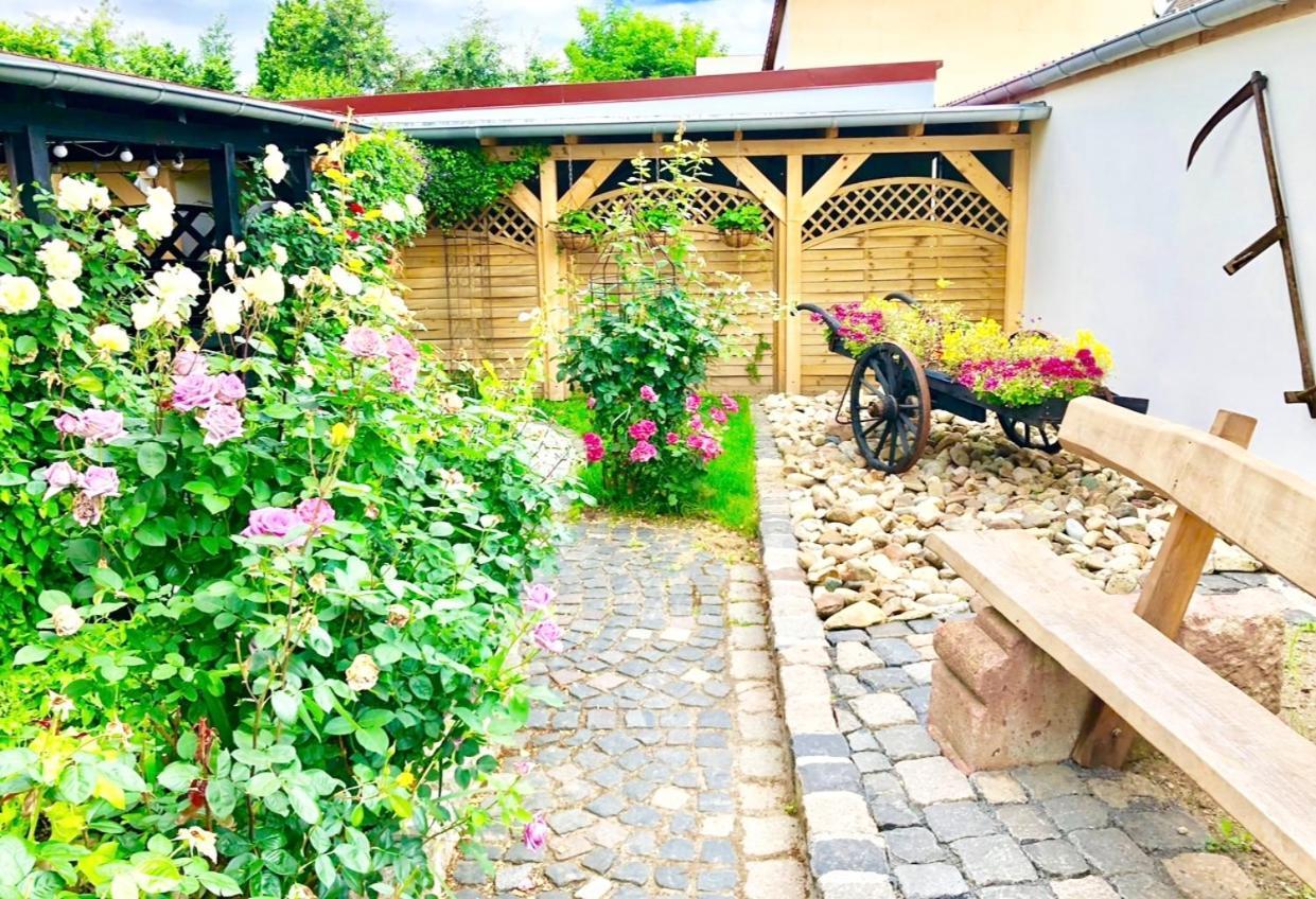 Ferienwohnungen Grimma 3 Extérieur photo